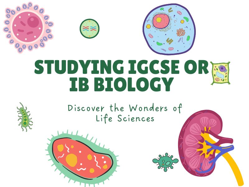 Studying IGCSE or IB Biology