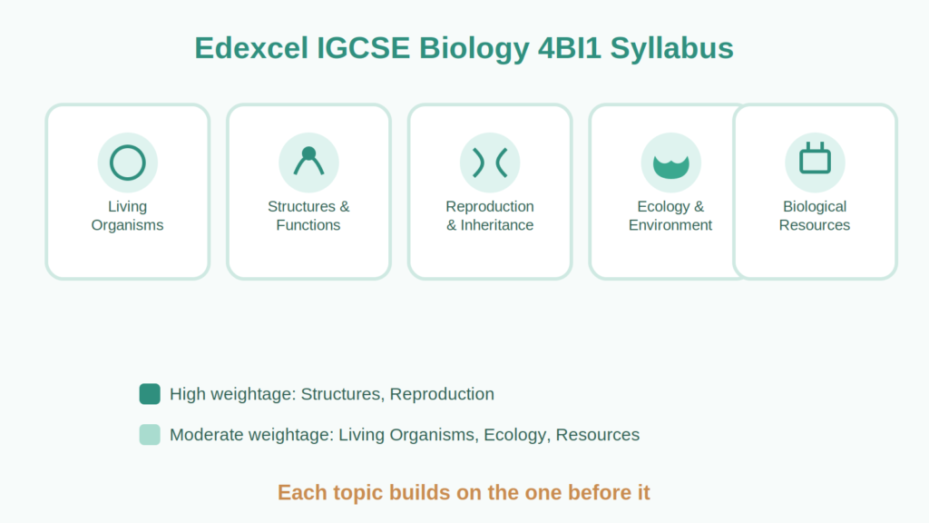 Edexcel IGCSE Biology 4BI1: Complete Guide for UAE Students 2 image 1
